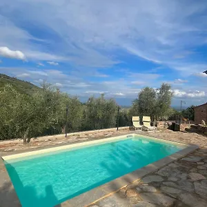 Campo Dei Lupi Holiday home Vicopisano