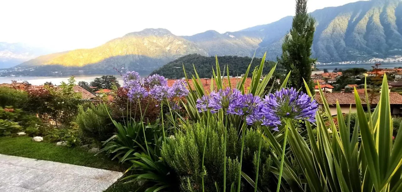 Magic Garden With Jacuzzi-Pool And Luxury Lake Como View Lenno 0*,  Italy